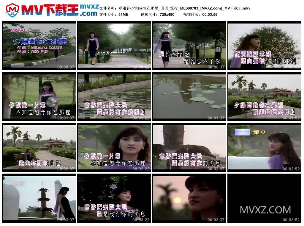邓丽君-夕阳问你在那里_国语_流行_ME600783